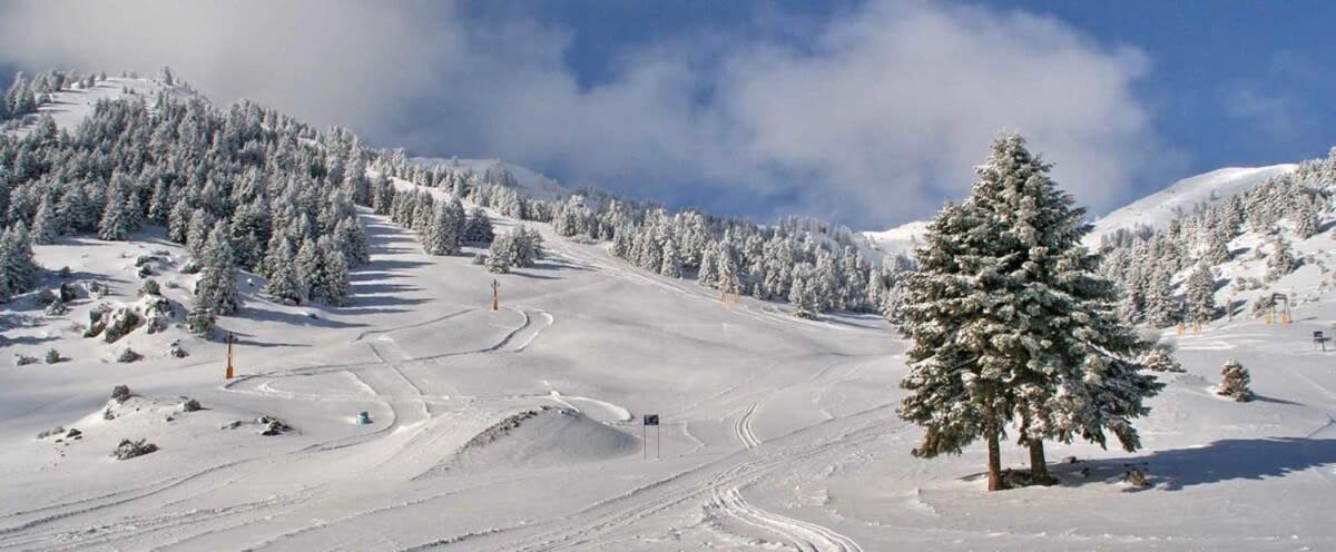 Forest Cosy House - Lagkadia Amazing View Εξωτερικό φωτογραφία