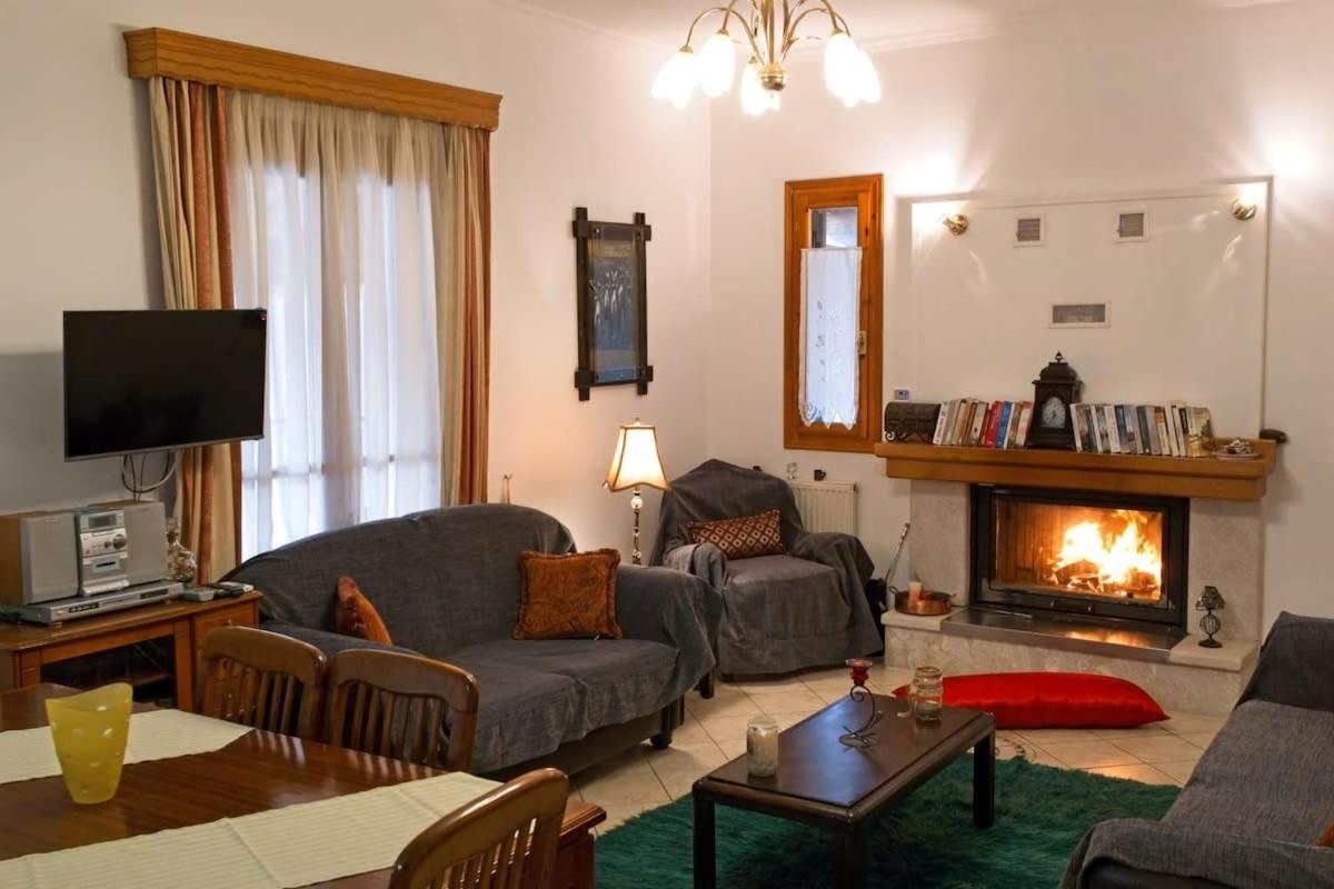 Forest Cosy House - Lagkadia Amazing View Εξωτερικό φωτογραφία